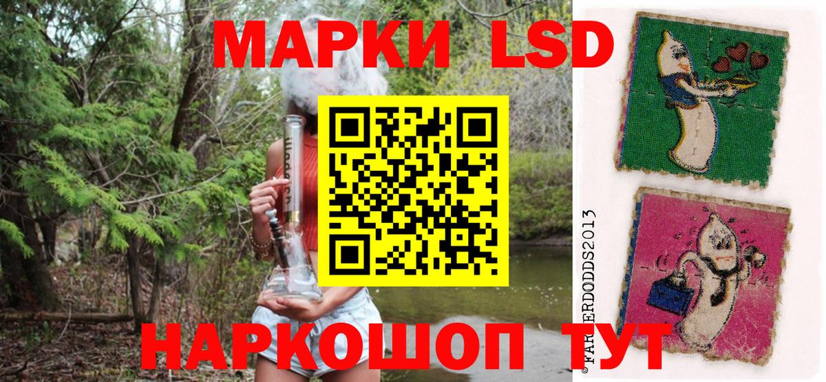 Марки 25I-NBOMe 1500мкг  Вход с VPN  Лесной 