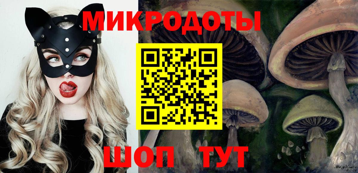 Псилоцибиновые грибы Psilocybe Лесной